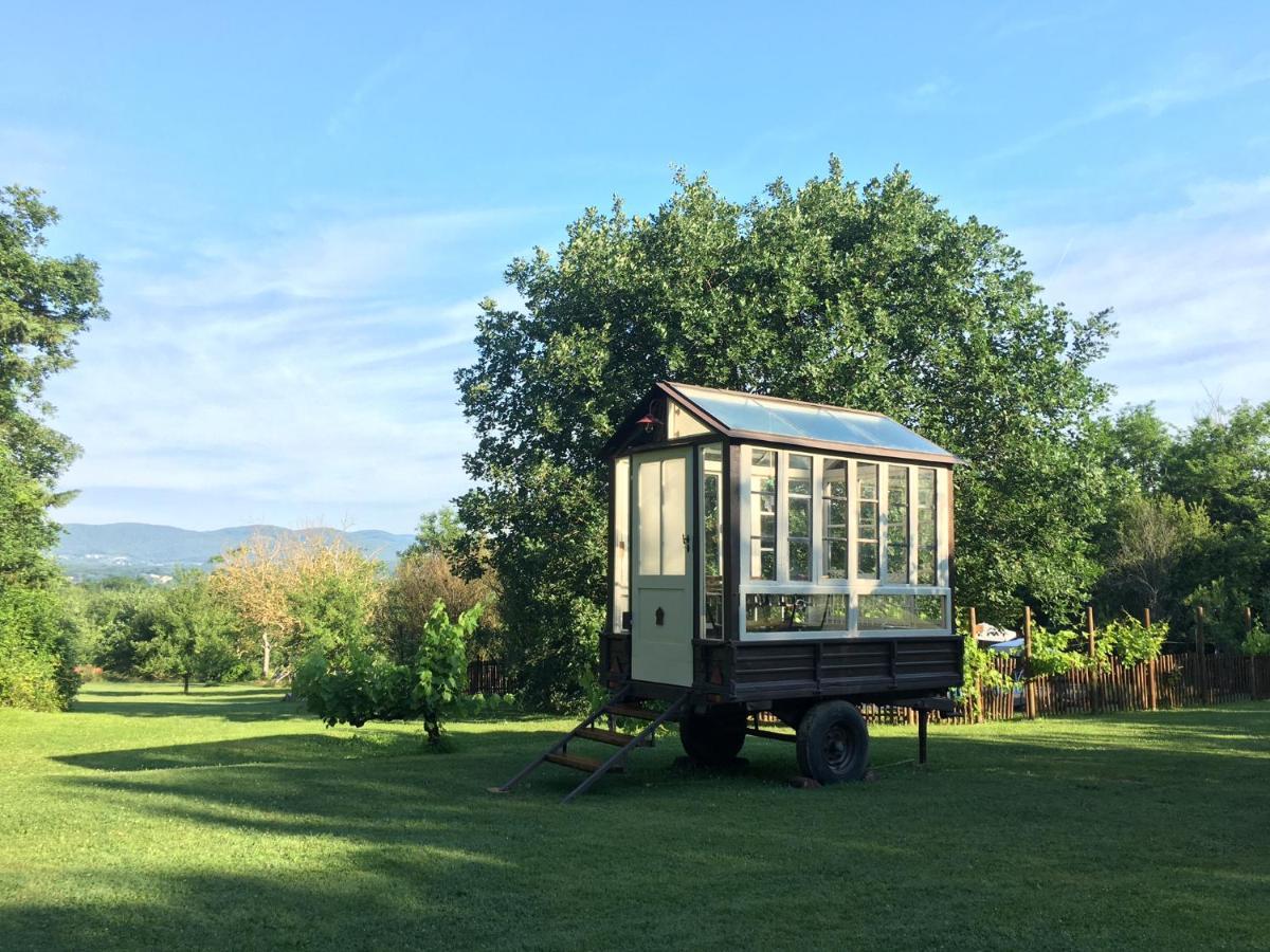 Agriturismo Poggio Salvi Farm stay Sovicille