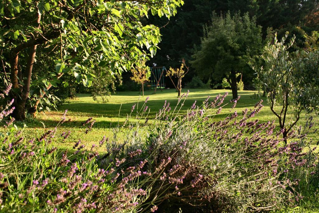 Agriturismo Poggio Salvi
